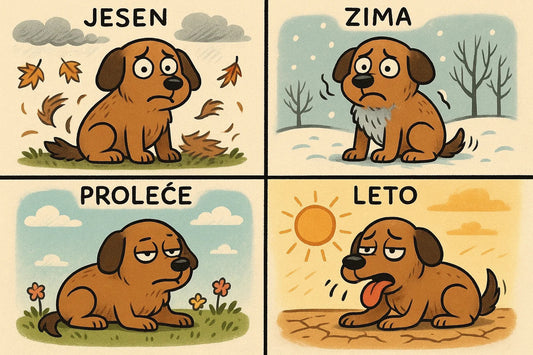 Sezonski problemi ljubimaca – dlaka u proleće, suve šape zimi i još mnogo toga