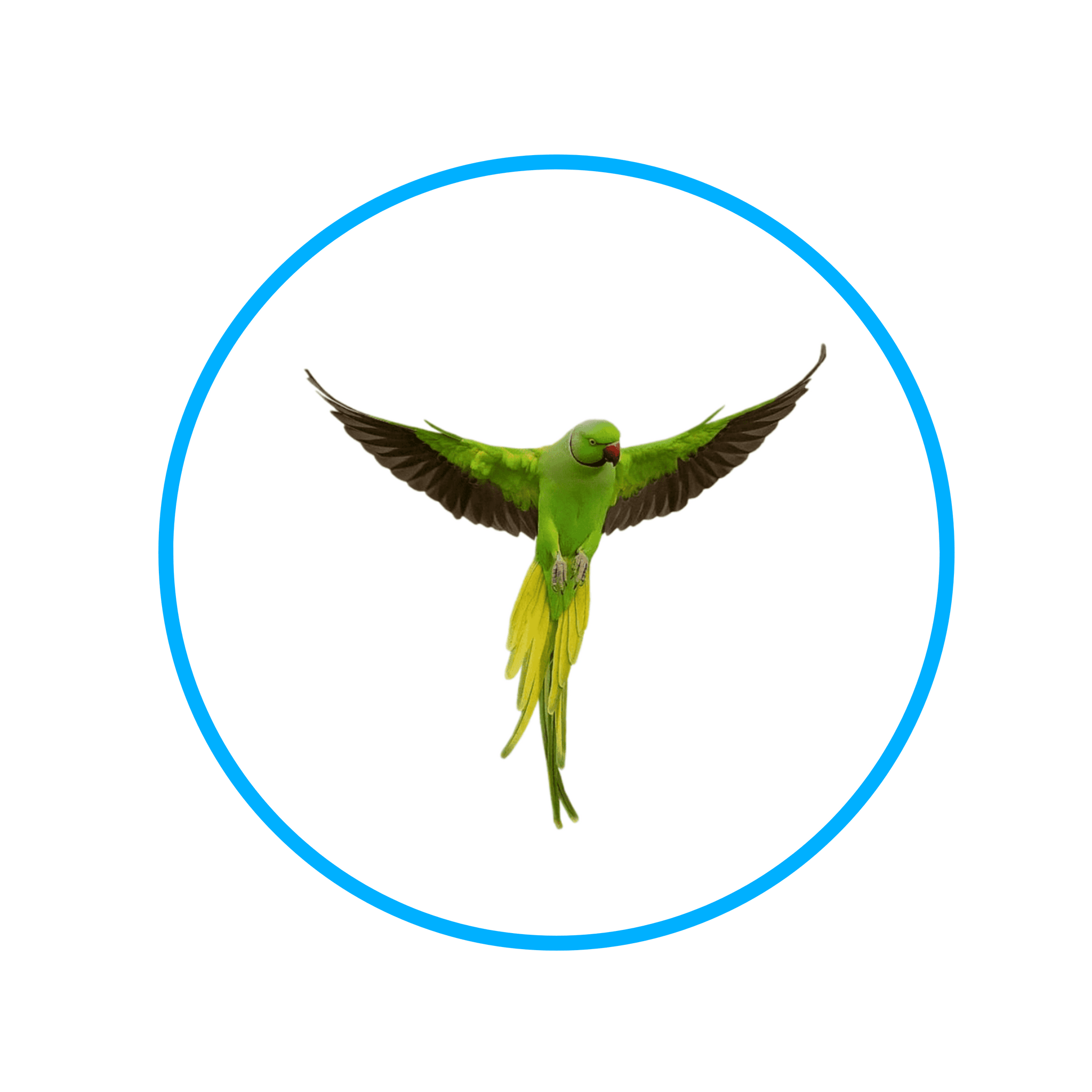 Pet shop D-Atomic® - Sve za kućne ljubimce!